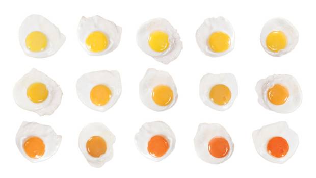 While North Americans traditionally prefer a more lemon-yellow yolk, many countries in Europe and the Far East prefer a deeper orangey yolk.